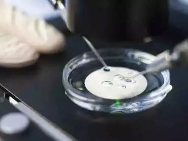 IVF Centre in Chennai