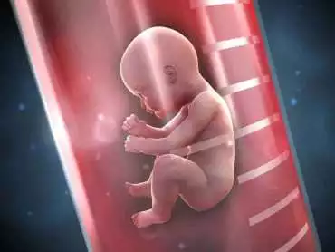 Fertility Centre in Chennai